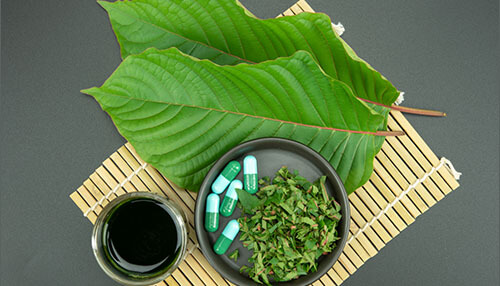 Green horned kratom Reasons why a green horn kratom strain is unique kratom plant
