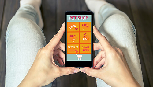 Online pet store Online pet store women entrepreneurs