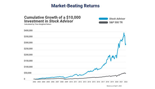 Motley fool Best performing motley fool service