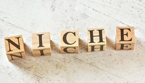 Service marketing strategies Choose the niche strategy service marketing strategies