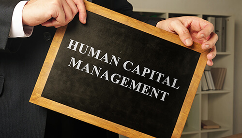 Supply chain business Optimizing human capital management supply chain business