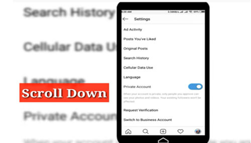 Instagram Instagram settings screen showing search history, privacy account toggle, and data usage options