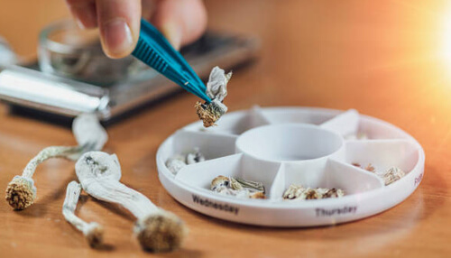 What is the ideal dosage for microdosing magic mushroom What is the ideal dosage for microdosing magic mushroom psilocybin mushroom