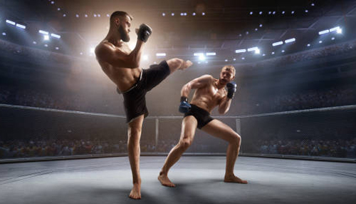 Ufc fight night Two fighters engage in a mixed martial arts (mma) fight inside an arena, one delivering a powerful kick while the other defends with his hands up.