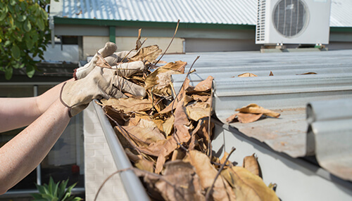 Clean the guttering Person cleaning leaves from a gutter, wearing gloves, as part of seasonal home maintenance during the fall.