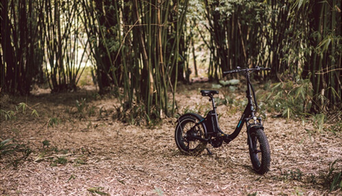 MAGiCYCLE Jaguarundi Folding E-bike MAGiCYCLE Jaguarundi Folding E-bike Electric Bikes