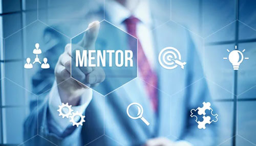 Professional organization Mentor professional organization