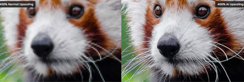 Vanceai image Comparison of a red panda's face before and after upscaling with VanceAI Image Upscaler, showing a clearer, sharper image.