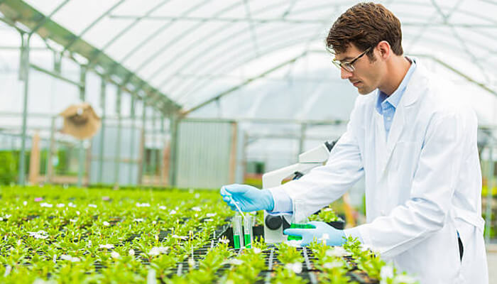 China will invest in the agriculture sector and improve it furthermore China will invest in the agriculture sector and improve it furthermore agricultural research