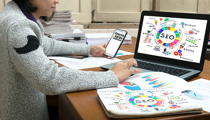 Seo optimization Seo optimization target audience