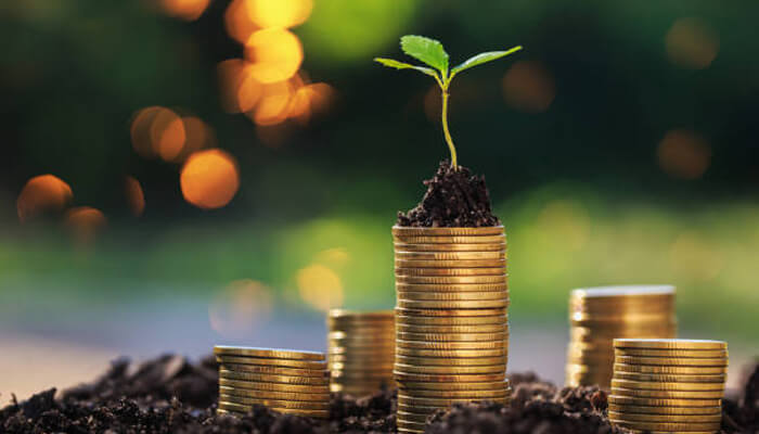 To generate wealth To generate wealth capital investment