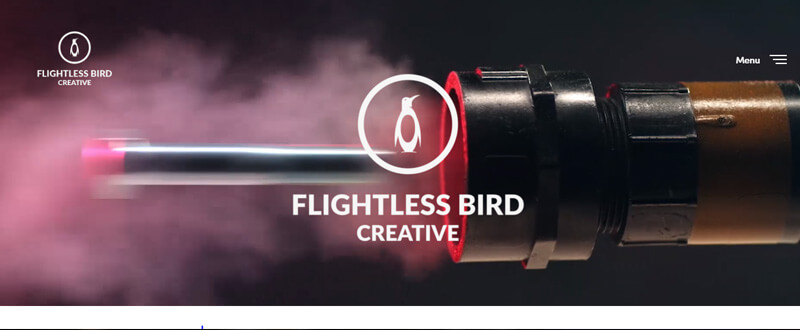 Video production Flightless bird creative video production company