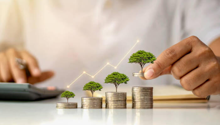 Term deposits Term deposits investment