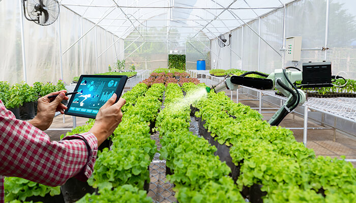 Ai in agriculture Ai in agriculture