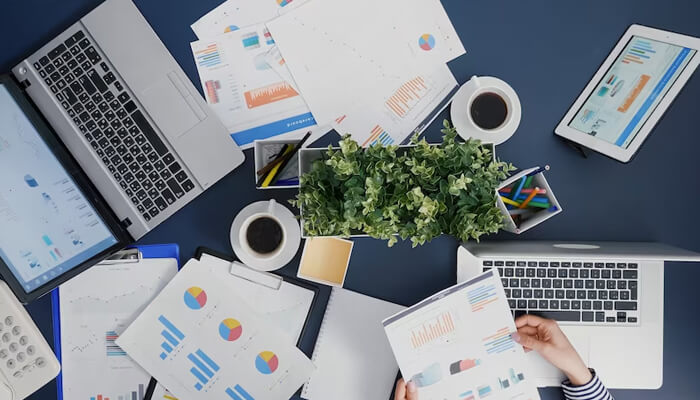 Marketing strategy Develop a marketing strategy hunting business