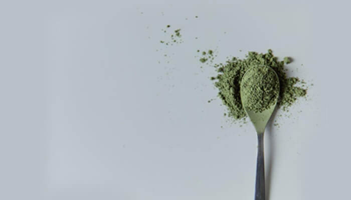It might give you the best energy blend A spoon holding green powdered supplement on a white surface, symbolizing plant-based ingredients used with mit45.
