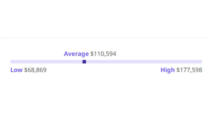 Most essential skills needed for. Net developers upskill and earn more net developer earns Salary range chart for a net developer, showing a low of ,869, an average of 0,594, and a high of 7,598.