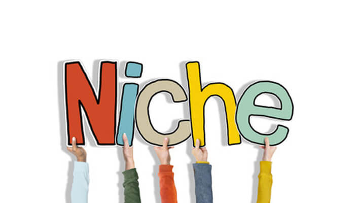 B2b brands Niche-driven strategy b2b brands