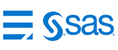 Sas Sas business intelligence