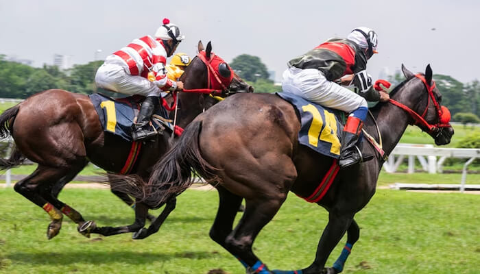 Cheltenham - tycoonstory 1 | tycoonstory media Cheltenham horse racing tournament with jockeys competing at full speed on a grassy track.