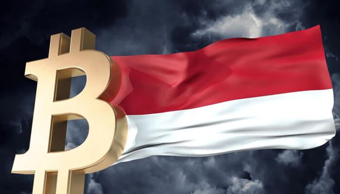 National crypto exchange Indonesian national crypto exchange