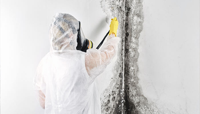 Removal Removal waterproofing toronto