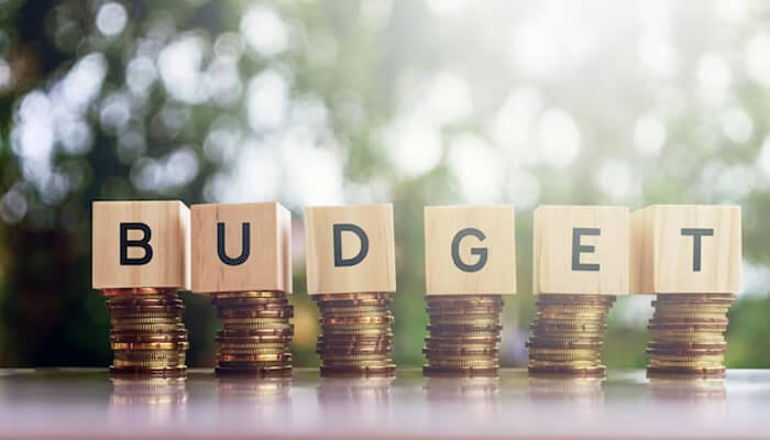 Set your budget Set your budget real estate millionaire