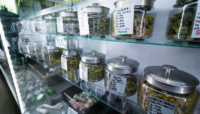 Compare cannabis prices A close-up view inside one of the many cannabis dispensaries, showing rows of large glass jars filled with various strains of dried cannabis flower on clear glass shelves. Handwritten labels with strain names, thc/cbd percentages, and pricing are visible on the jars.