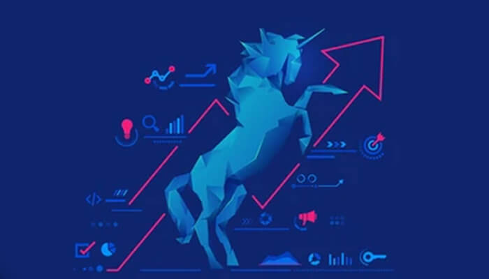 Develop unicorn status worthy product Develop unicorn status worthy product cowboy ventures