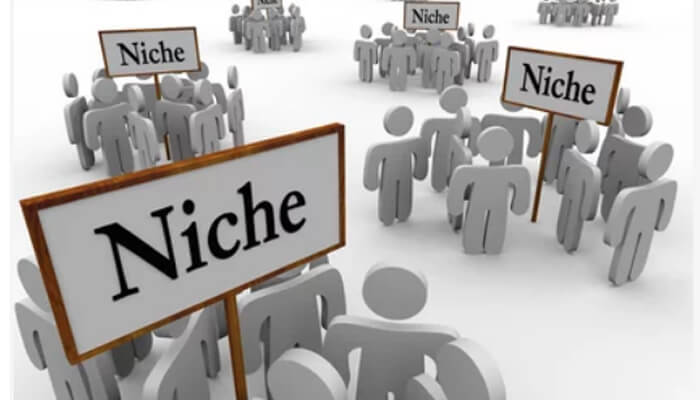 Develop your own niche Develop your own niche competition