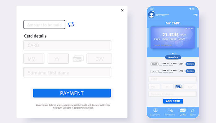 Embedded payment system Enhanced data insights embedded payment system
