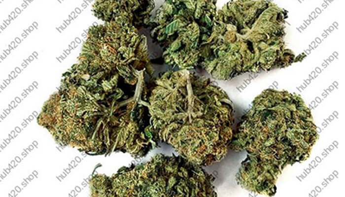 Main-benefits-of-starting-to-use-cbd-tycoonstory | tycoonstory media Main benefits of starting to use cbd cannabis products