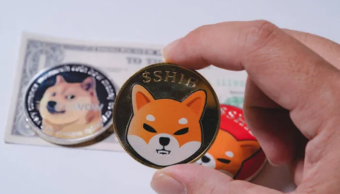 Meme coins Shiba inu dogecoin are meme coins