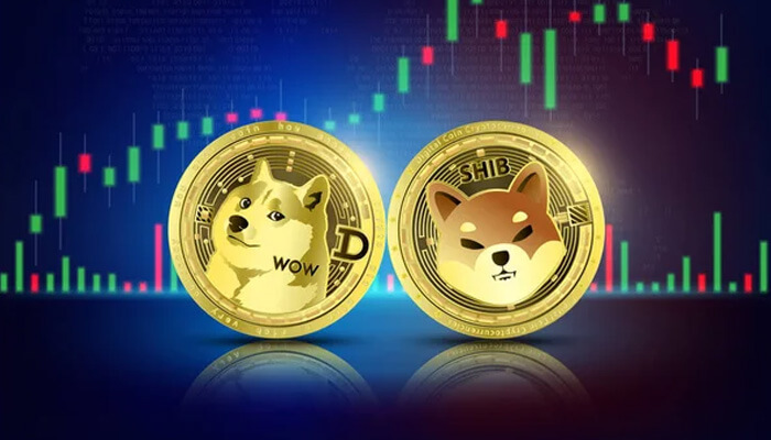 Meme coins Shiba inu and dogecoin meme coins