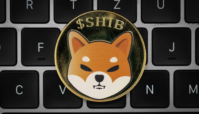 Understanding shib token Understanding shib token dogecoin