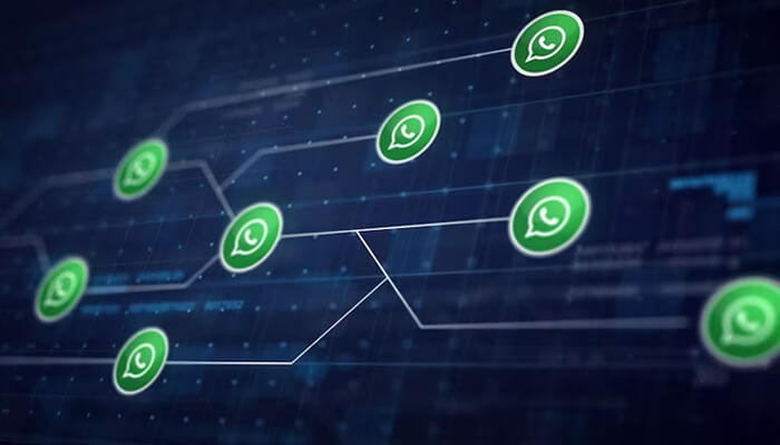 Whatsapp-tycoonstory | tycoonstory media Whatsapp meta