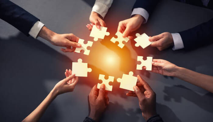 Develop a staffing plan Evaluate existing organizational strategies to develop a staffing plan