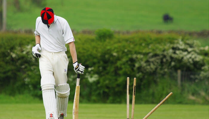 What makes the ipl so special What makes the ipl so special cricket tournaments