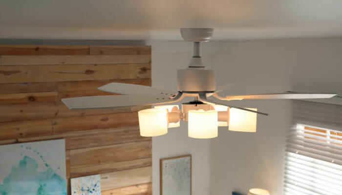 Evergreen primary lighting trending lighting ideas