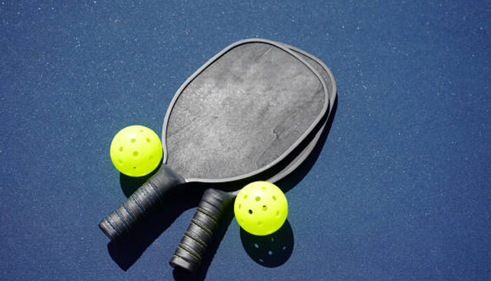 Paddles Paddles pickleball game