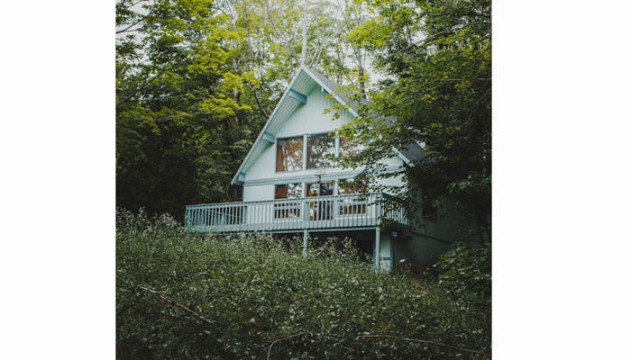 Business ideas A small cottage surrounded by trees, inspiring business ideas in real estate, eco-tourism, and sustainable living.