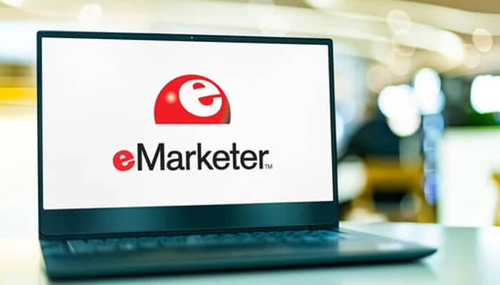 Google Emarketer google