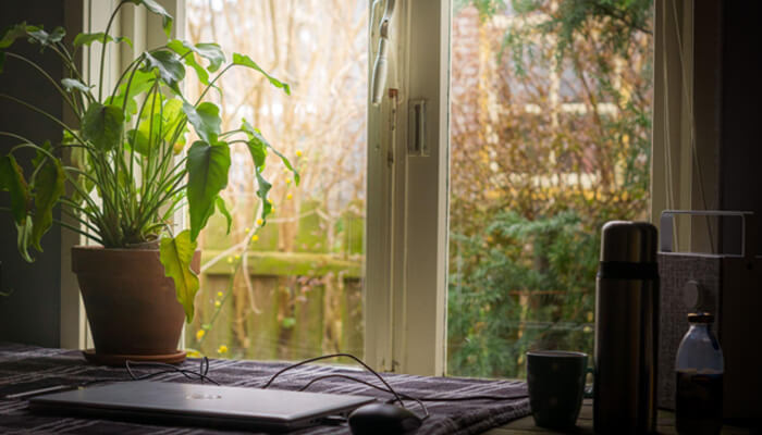 Business from your garden Run a business from your garden