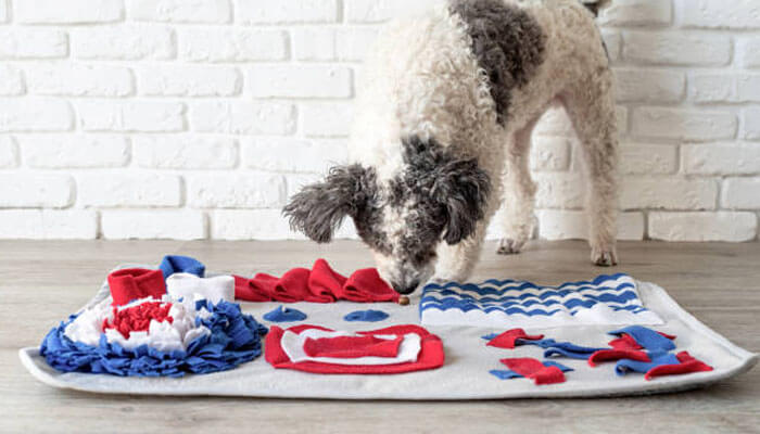 Birthday gifts for dogs Birthday gifts for dogs