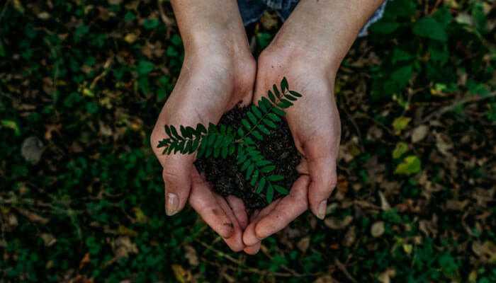 Hazardous waste - tycoonstory | tycoonstory media Hands holding soil and a young plant representing environmental responsibility supported by waste collectors and eco-friendly practices.