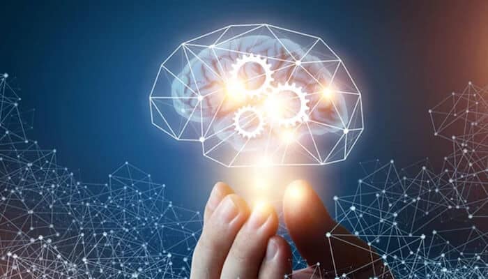 Innovation and differentiation Innovation and differentiation