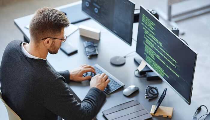 E-commerce business Invest in a good web developer e-commerce business