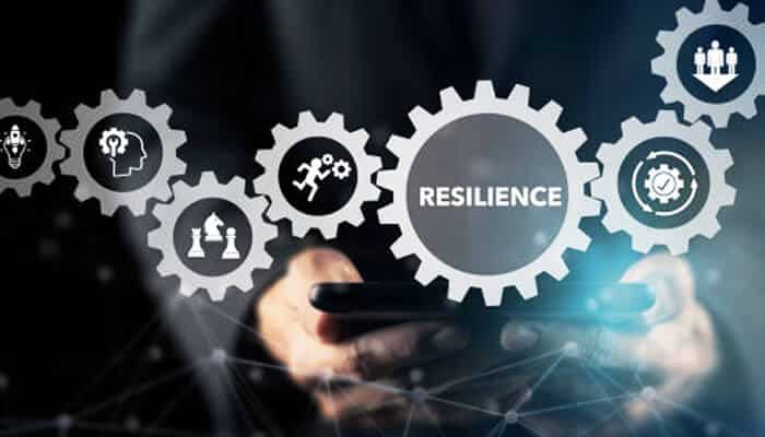 Brain chesky Resilience brain chesky