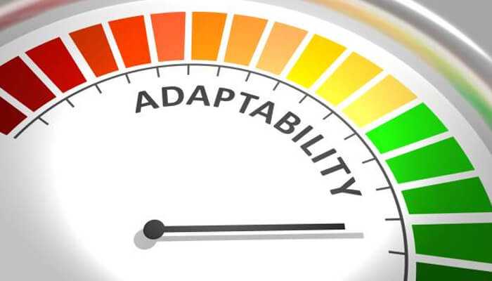 Starting from the bottom Starting from the bottom adaptability