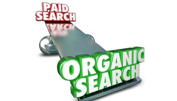 Choose Between Organic Search vs. Paid Search